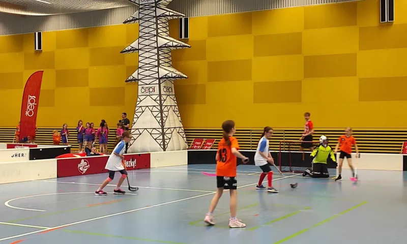 čeps cup 25