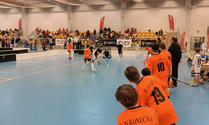 čeps cup 24