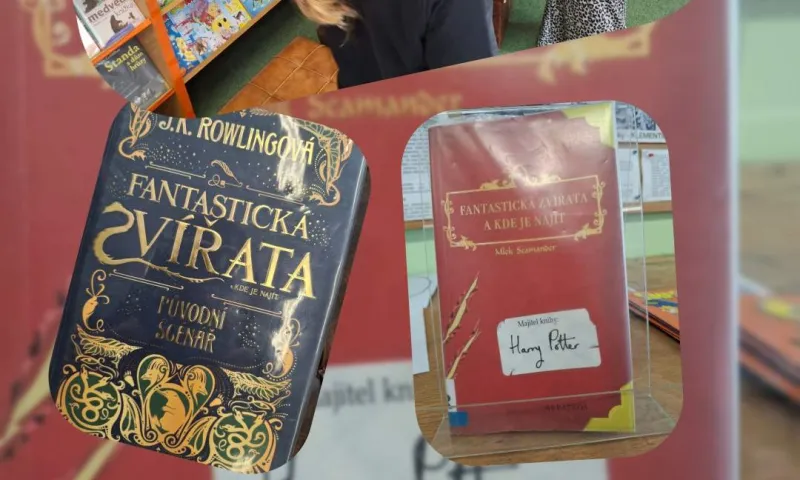 čtenářská dílna