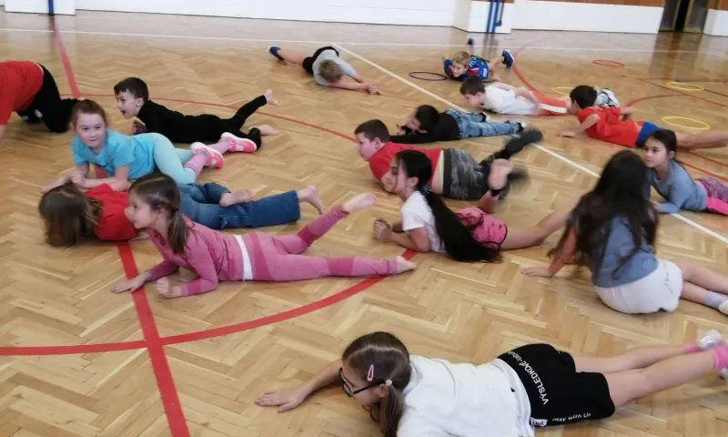 šd basket