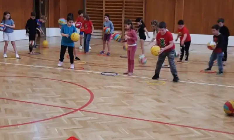 šd basket