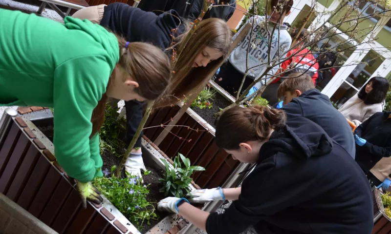 Den země - sázení stromů