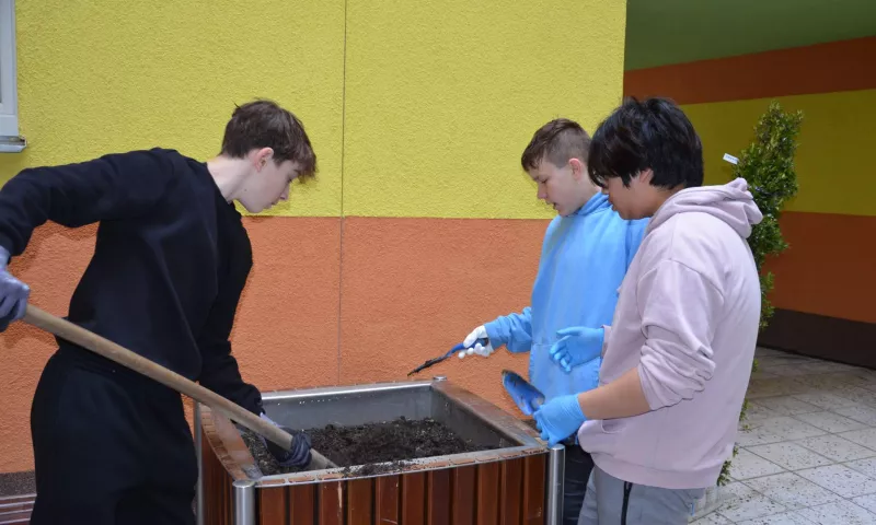 Den země - sázení stromů