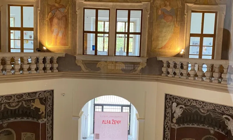 alfa ženy
