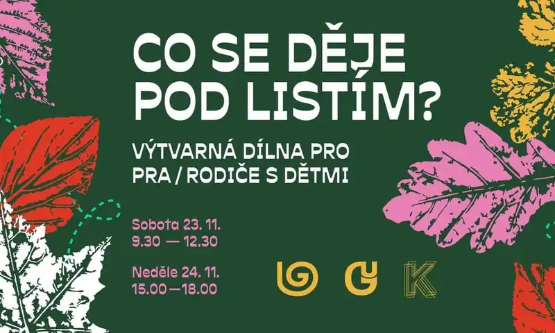 leták