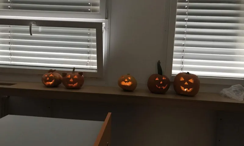 Halloween 24