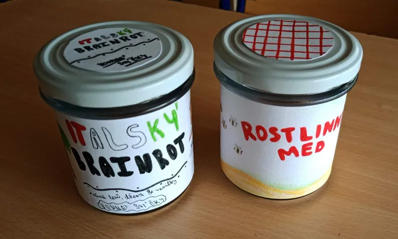 projekt