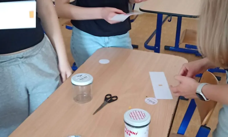 projekt