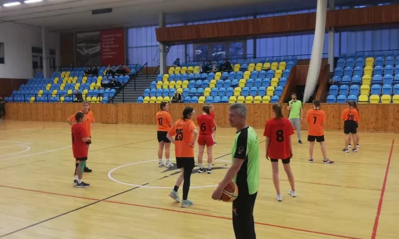 RF basket Louny 22