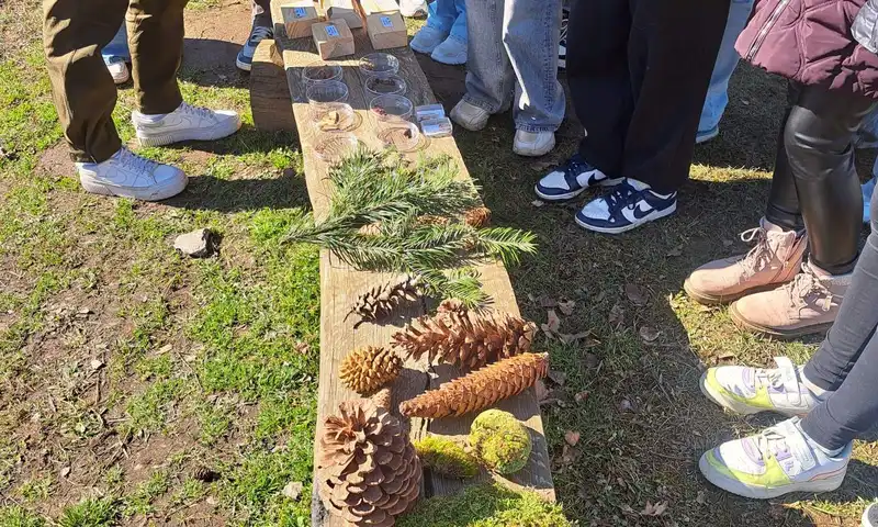 SLŠ 25