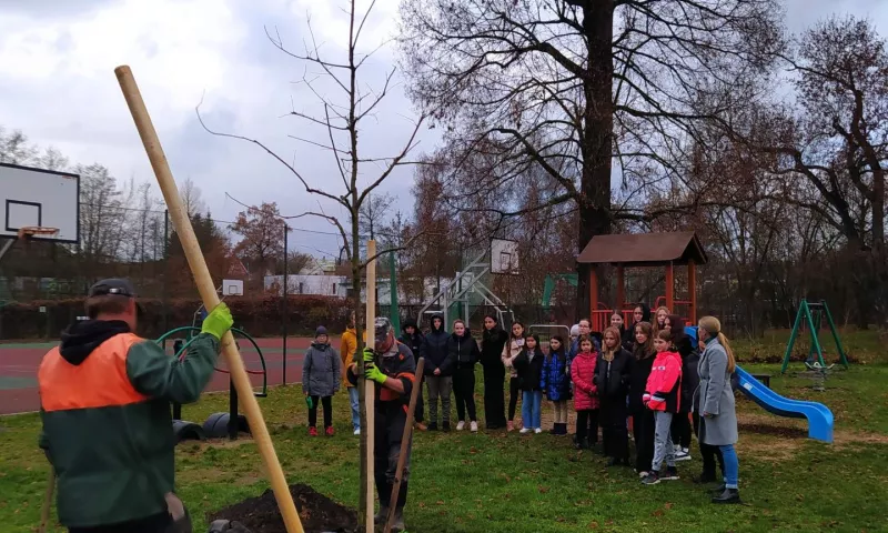 slavnostní sázení stromu