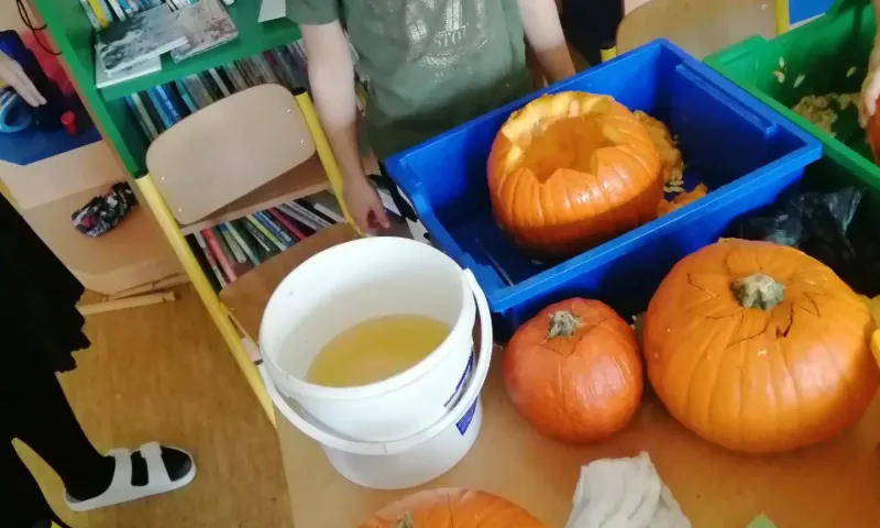 dýně