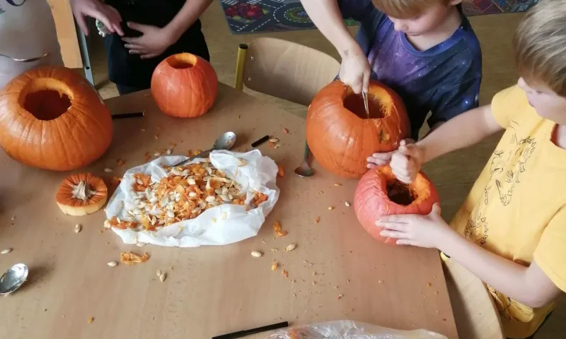 dýně