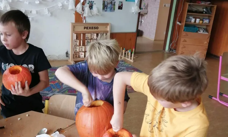 dýně