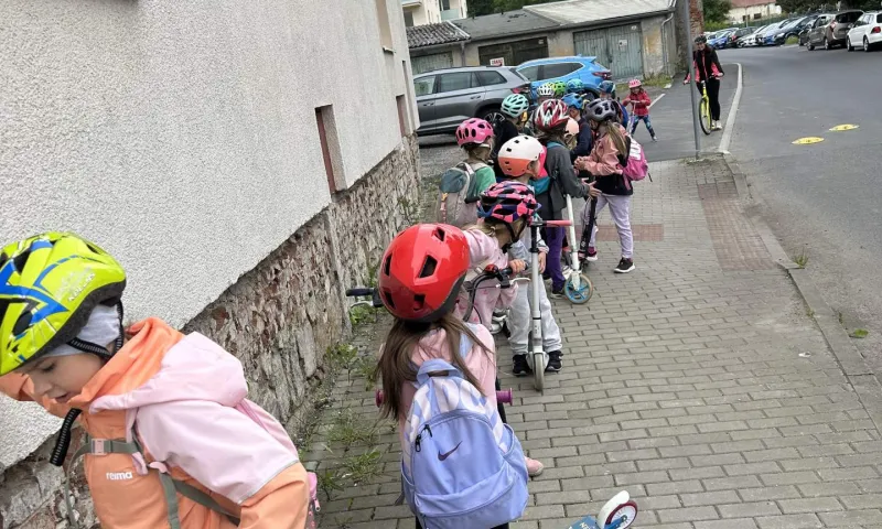 koloběžky a zvířátka