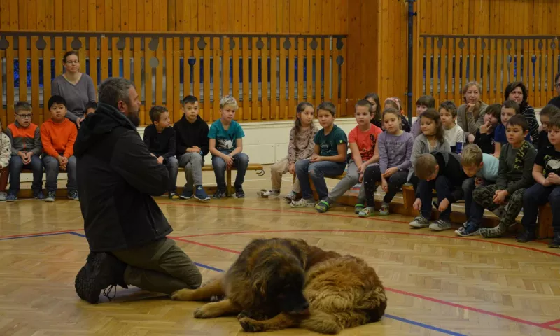 Když pes pomáhá žít