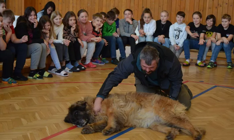 Když pes pomáhá žít