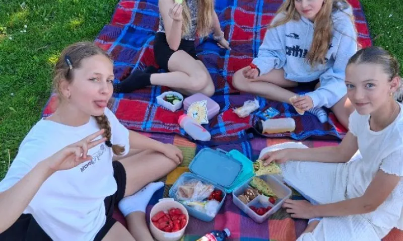 piknik