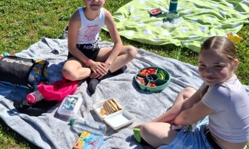 piknik