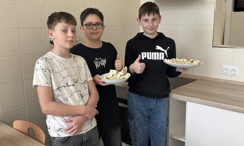 pomaz.dop.