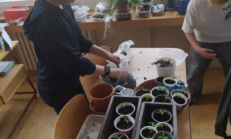 pro maminky