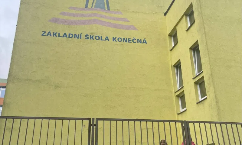 krokusy