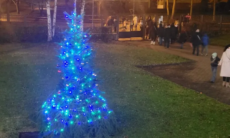 rozsvícení vánočního stromu 24