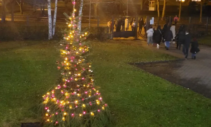 rozsvícení vánočního stromu 24