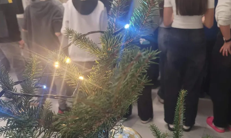 rozsvícení vánočního stromu 24