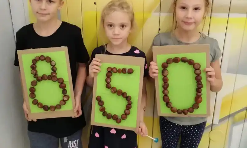 sběr kaštanů šd