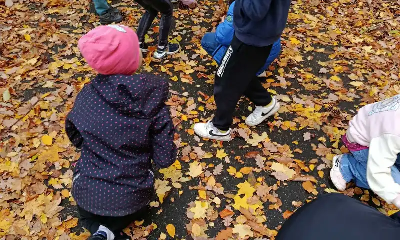 šd