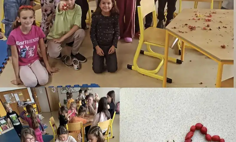 tvoření šd