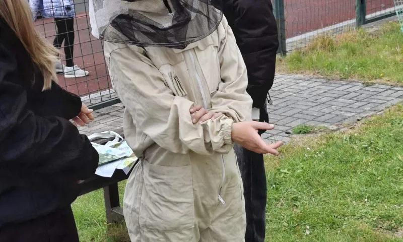 včely šd