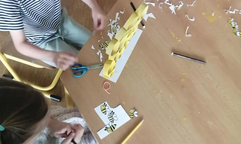 včely šd