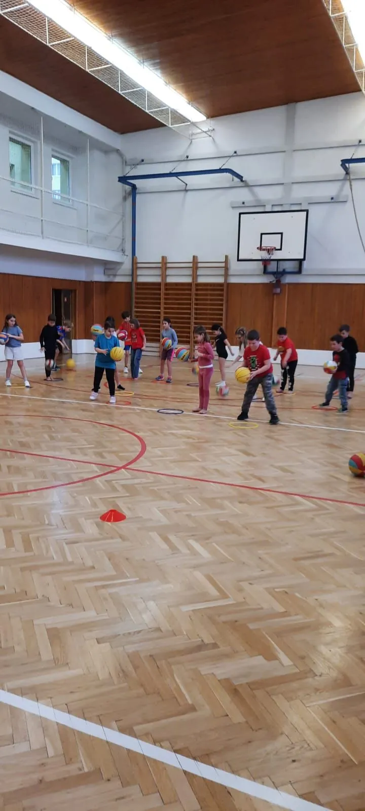 šd basket