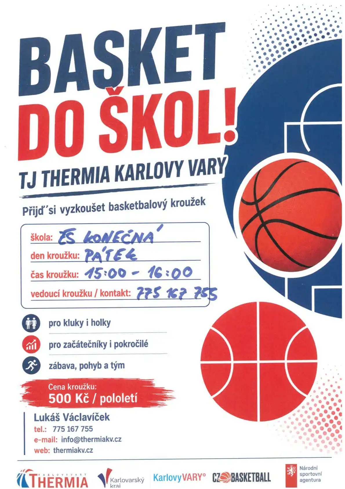 basket plakát